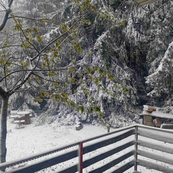 Zabelela se Srbija u maju FOTO/VIDEO