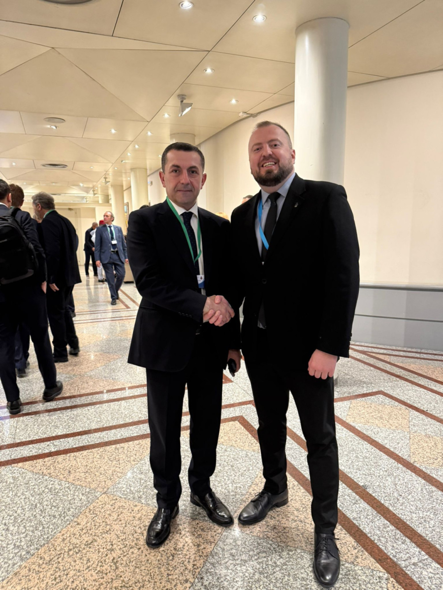 Mirković na 29. Parlamentarnom bezbednosnom forumu u Madridu: Srbija je snažna, nezavisna i prosperitetna