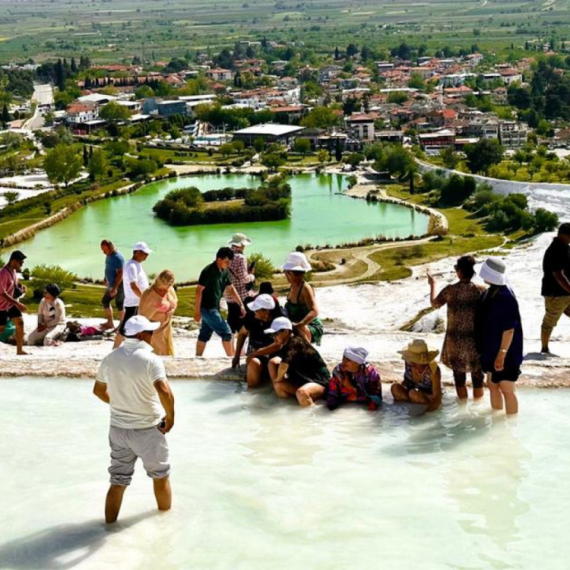 Pamučno krilo Velike majke