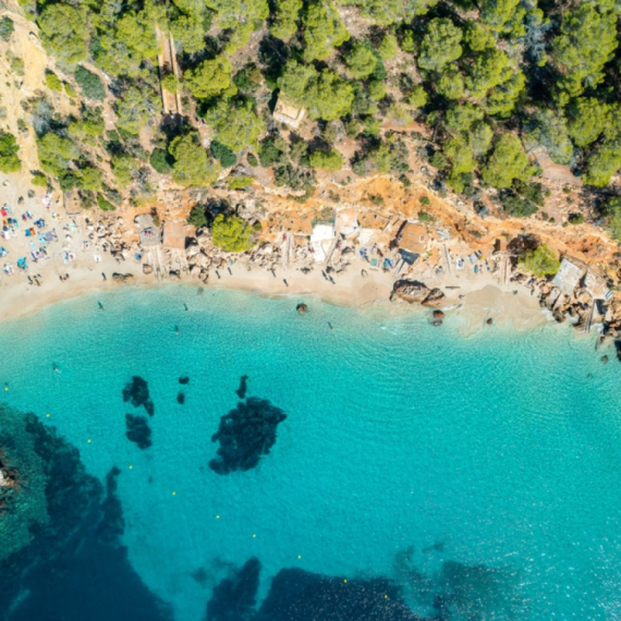 Stvorenja od dva metra prepadaju turiste: Ne smeju da kroče u vodu VIDEO
