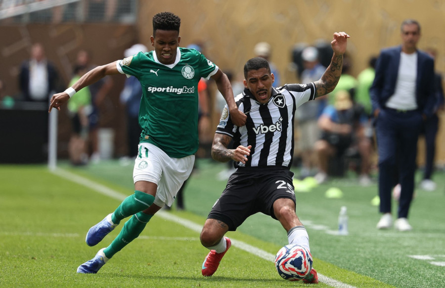 Palmeiras nokautirao Botafogo!