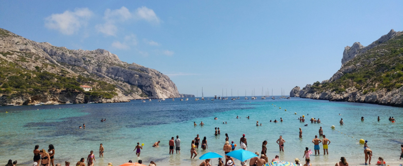 Proždrljiva riba otrovnica –  srebrnobrazi napuhač pravi haos u Sredozemnom moru