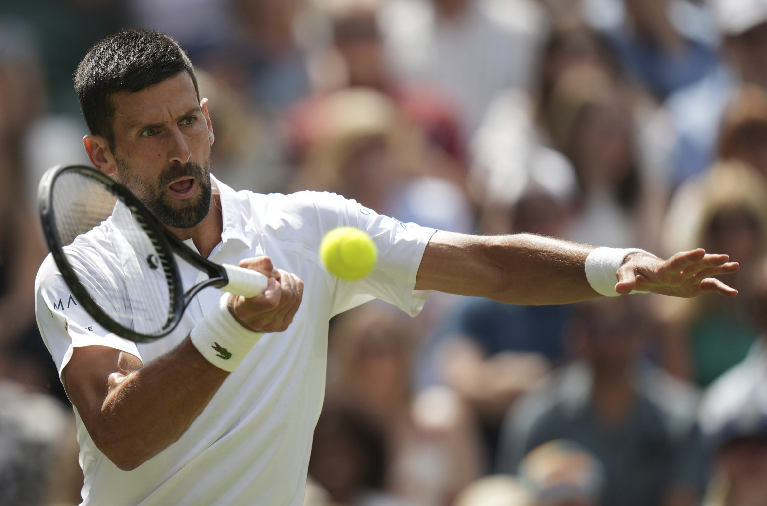 Dominant Djokovic scheduled the Serbian derby: "Alkaras and Sinner are almost that old"