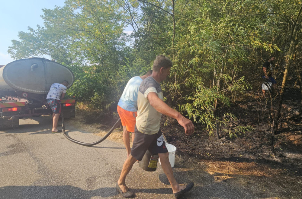 Izbio šumski požar u Srbiji: "Ovo je katastrofa; Vatra se širi neverovatnom brzinom, sve je bliža kućama" FOTO