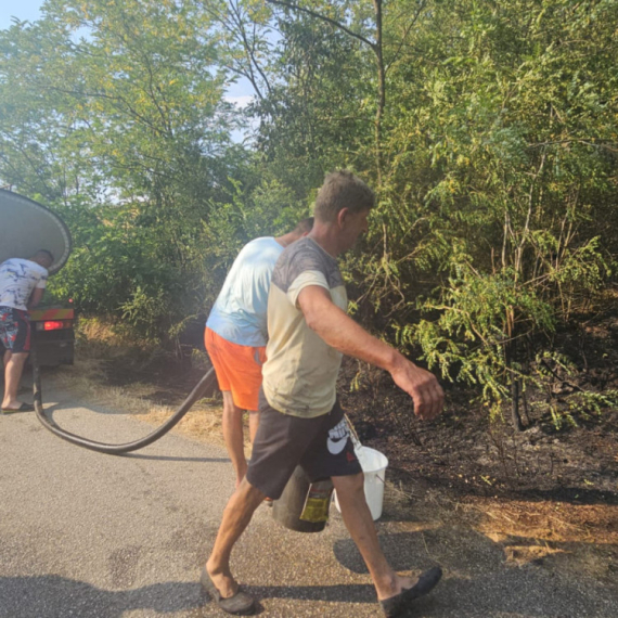Izbio šumski požar u Srbiji: "Ovo je katastrofa; Vatra se širi neverovatnom brzinom, sve je bliža kućama" FOTO