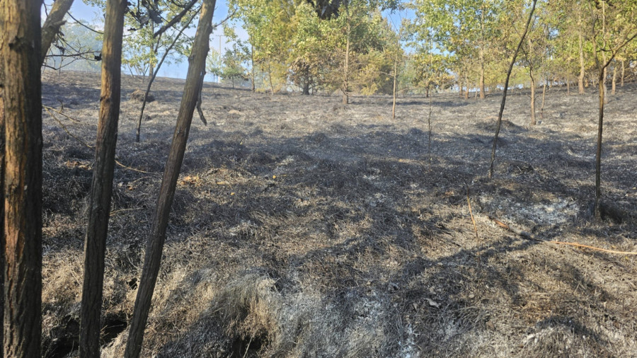 Izbio šumski požar u Srbiji: Ovo je katastrofa; Vatra se širi neverovatnom brzinom, sve je bliža kućama FOTO