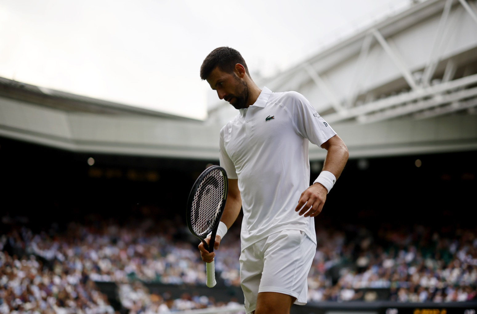 "Djokovic is at Wimbledon to win it"