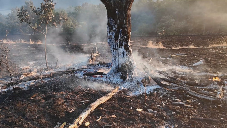 Dramatična svedočenja meštana nakon velikog požara: Izgorelo oko 20 hektara šume FOTO