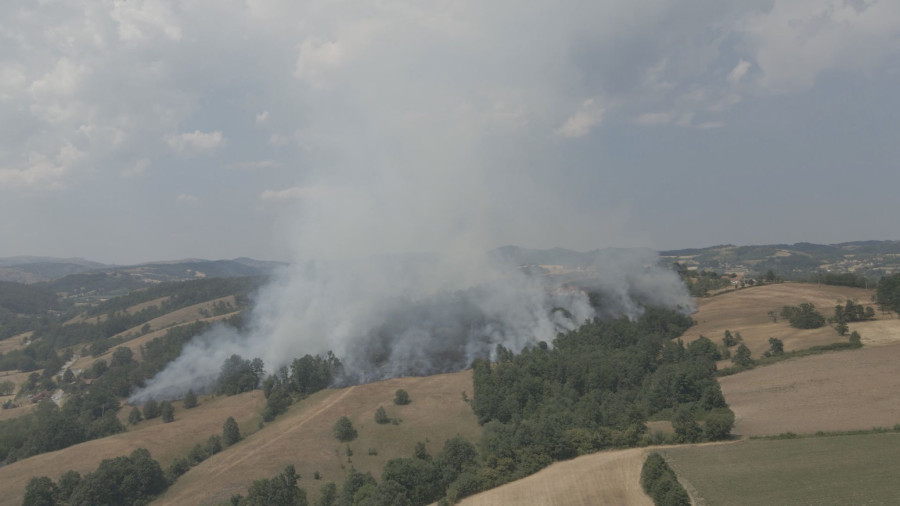 Dramatična svedočenja meštana nakon velikog požara: Izgorelo oko 20 hektara šume FOTO