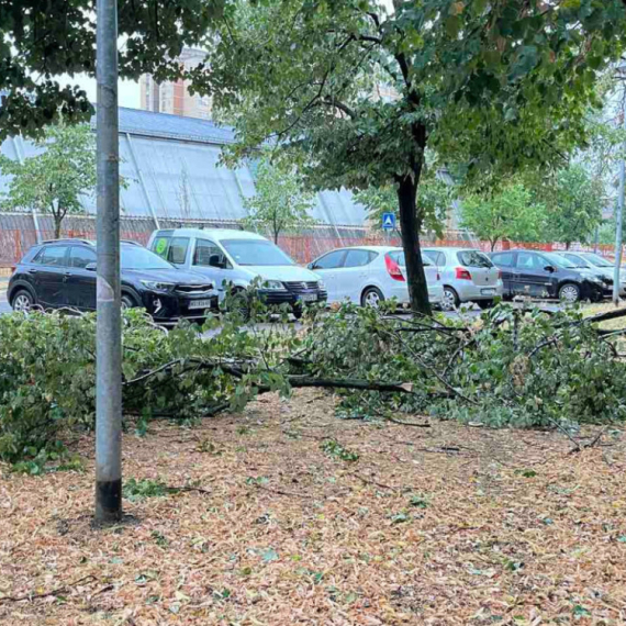 Ovo su najstrašniji prizori iz Požarevca: Grad razoren nakon oluje FOTO/VIDEO