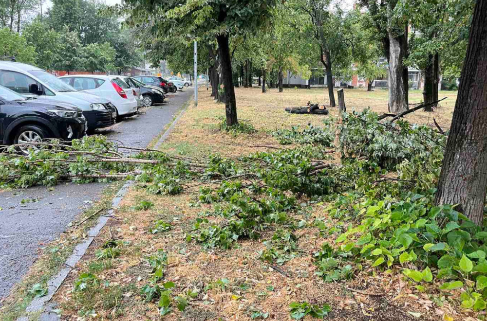 Ekipe i dalje na terenu: Više od 600 prijava za intervenciju na stablima zbog nevremena
