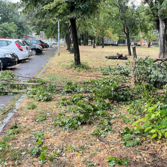 Ekipe i dalje na terenu: Više od 600 prijava za intervenciju na stablima zbog nevremena