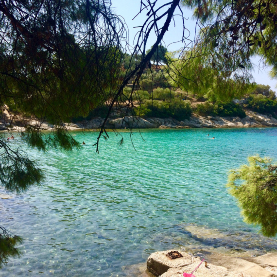 Grci obožavaju ovu plažu na Sitoniji, a turisti je još uvek nisu otkrili: Miris borova i kristalno more FOTO