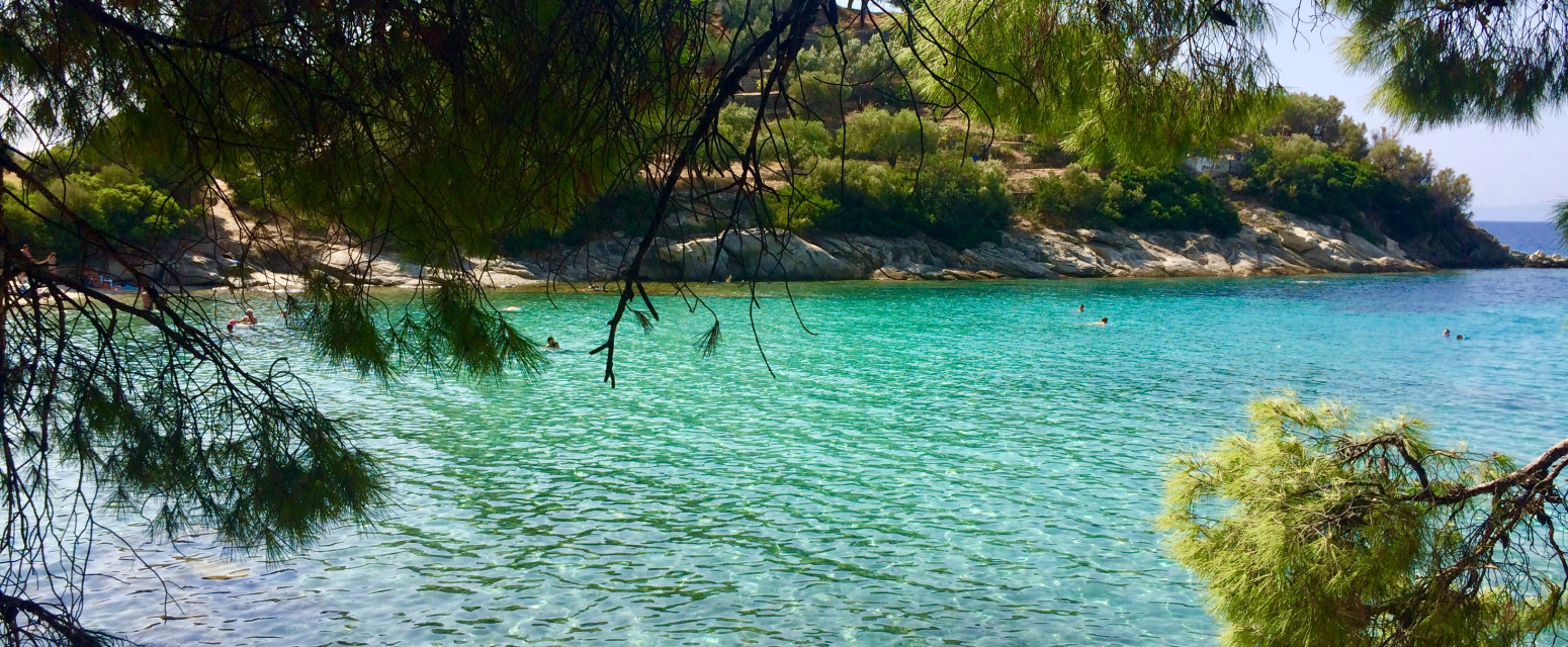 Grci obožavaju ovu plažu na Sitoniji, a turisti je još uvek nisu otkrili: Miris borova i kristalno more FOTO