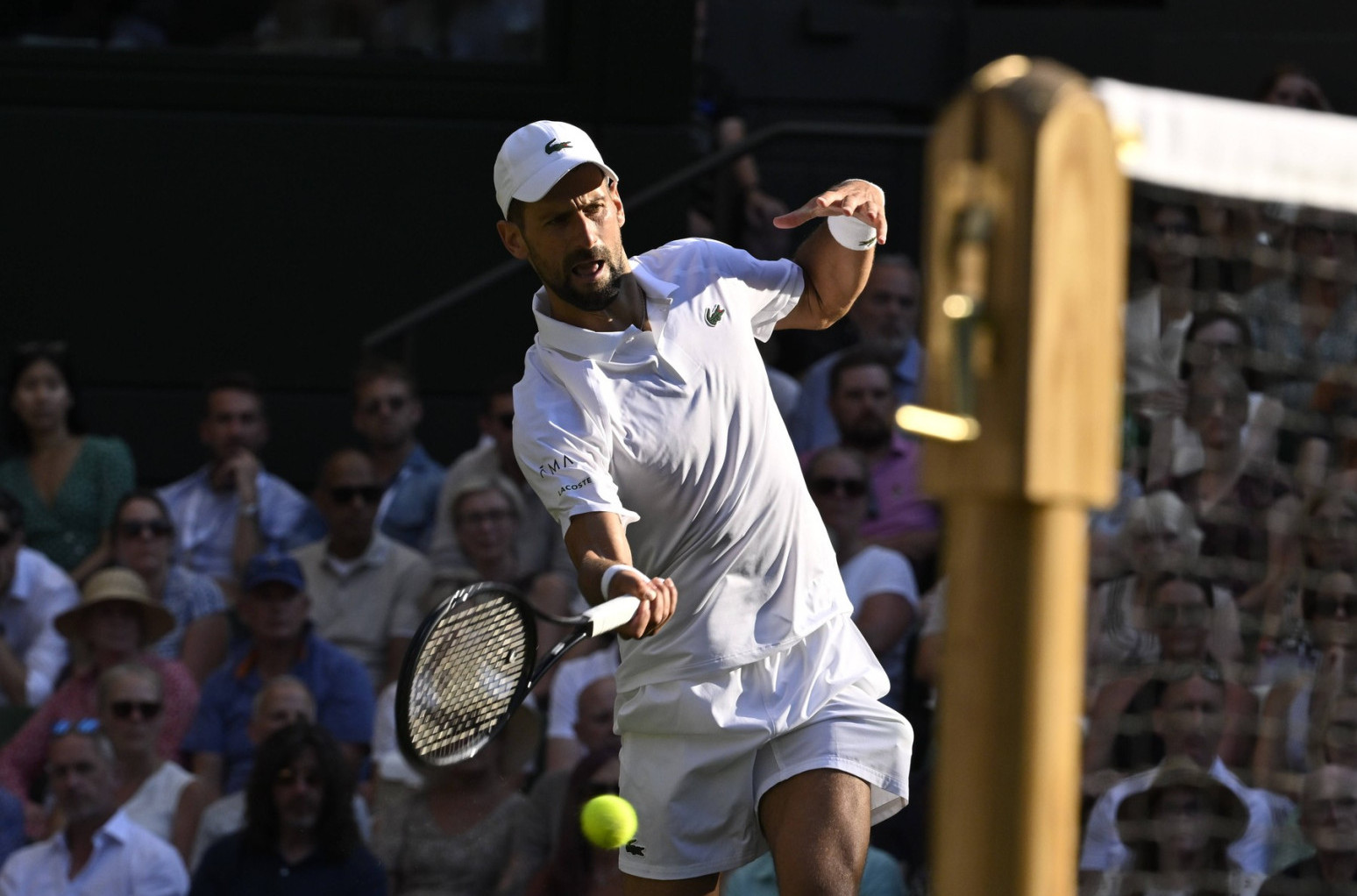 Wimbledon: "Novak, it's been a pleasure" VIDEO