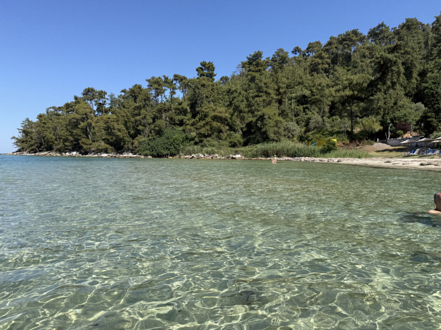 Zašto je ove godine na popularnom grčkom ostrvu invazija insekata? Jednu stvar ne podnose FOTO