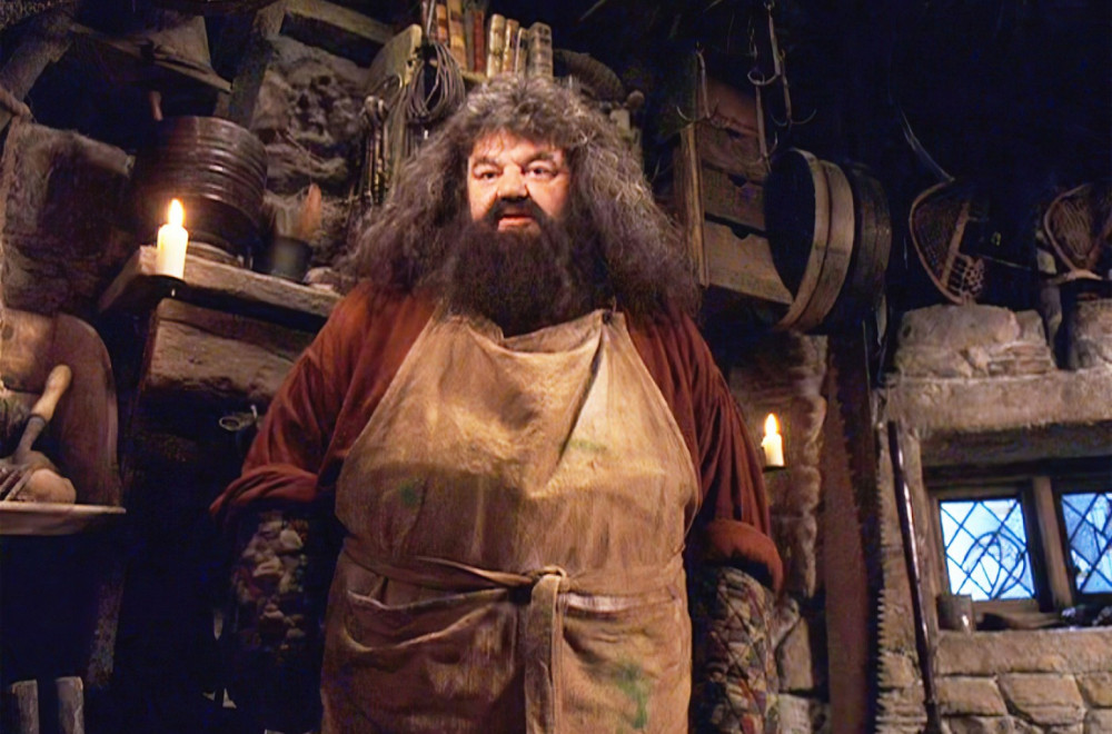 Evo kako izgleda novi Hagrid: Fanovi uznemireni zbog nove serije o Hariju Poteru FOTO