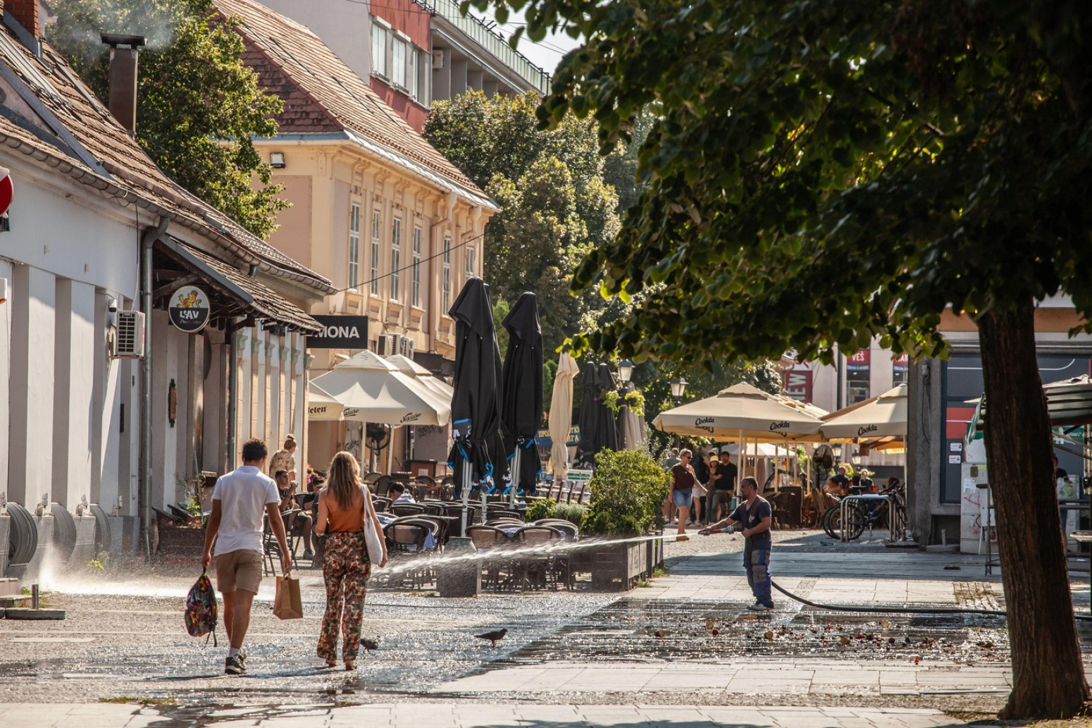 Srbija gori: Crveni alarmi upaljeni, evo kada stiže vrhunac pakla FOTO