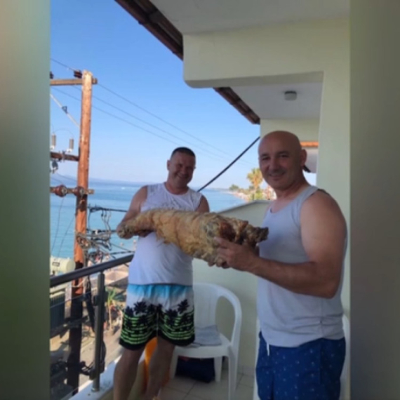 Aleksandar na more poneo celo jagnje: "Isekli smo ga na terasi, sedam dana smo to jeli" VIDEO