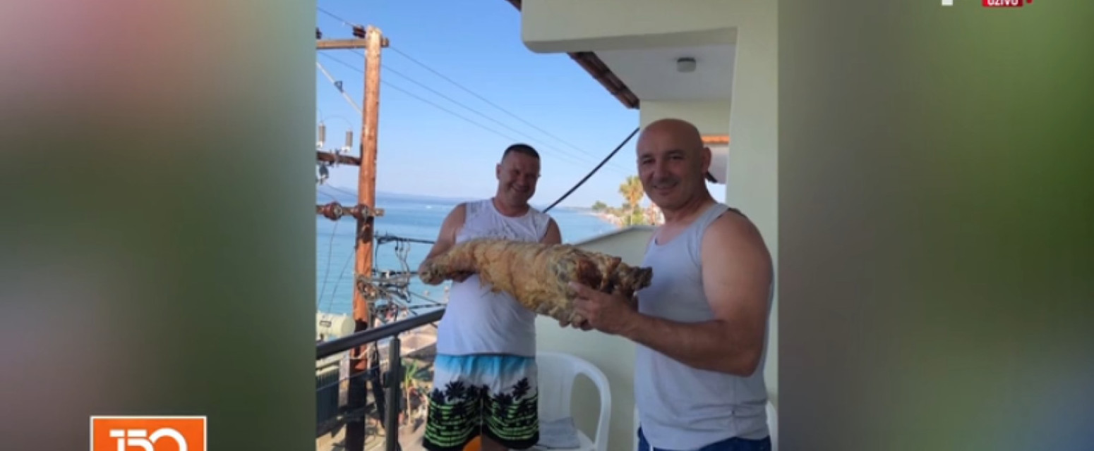 Aleksandar na more poneo celo jagnje: "Isekli smo ga na terasi, sedam dana smo to jeli" VIDEO