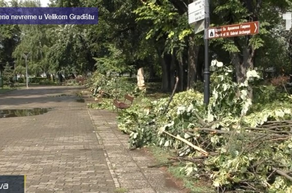 Nezapamćeno nevreme u Velikom Gradištu: Iščupano preko 50 stabala, vetar nosio krovove VIDEO