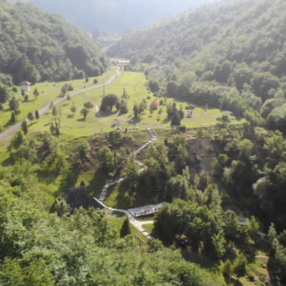Preko 20 vrsta orhideja raste na ovoj srpskoj planini, a malo ko to zna: Veliko prirodno bogatstvo FOTO