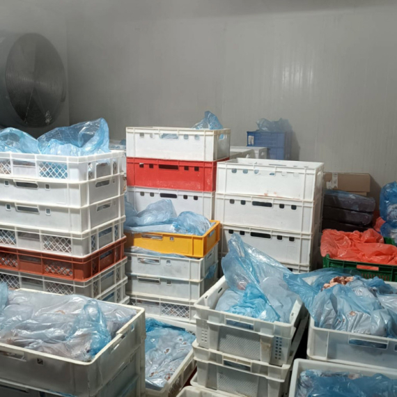 Piletina zaražena salmonelom mogla je da završi na našem tržištu: Uhapšeni otac i sin FOTO