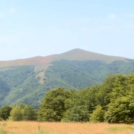 Jedinstvena srpska planina bogata lekovitim biljem: Raj za ljubitelje prirode VIDEO