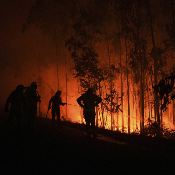 Gori Iberijsko poluostrvo: Temperature do 44 stepena, požari gutaju sela FOTO/VIDEO