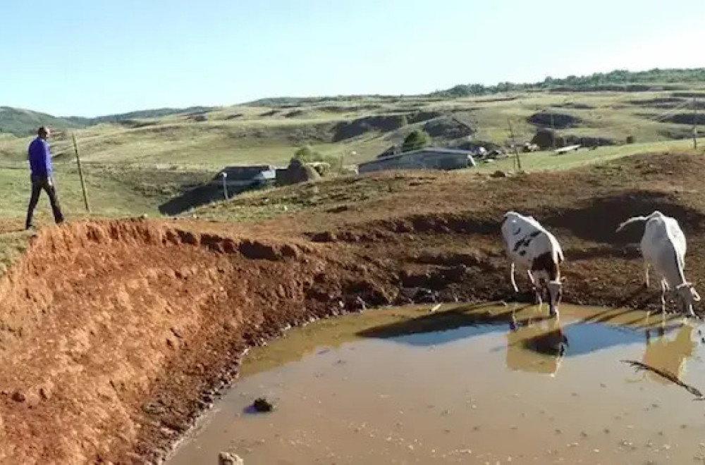 Water Shortage Crisis: Villagers and Livestock Left Thirsty as Supply Delays Continue