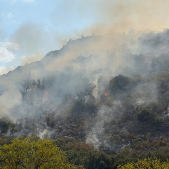 Vatrena stihija guta sve pred sobom: "Molimo Boga da ne dođe do nas" FOTO