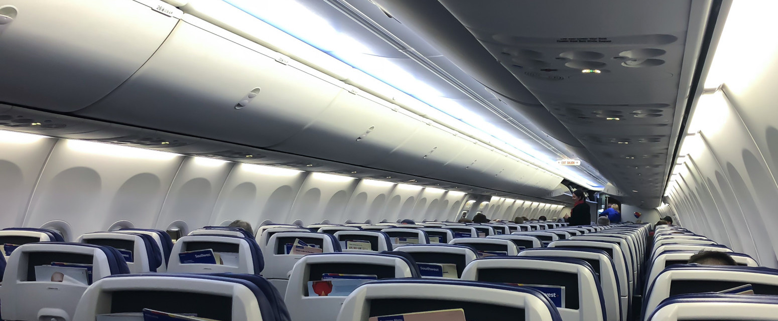 Revolucija na nebu: Aeroitalia omogućava velikim psima mesto u kabini