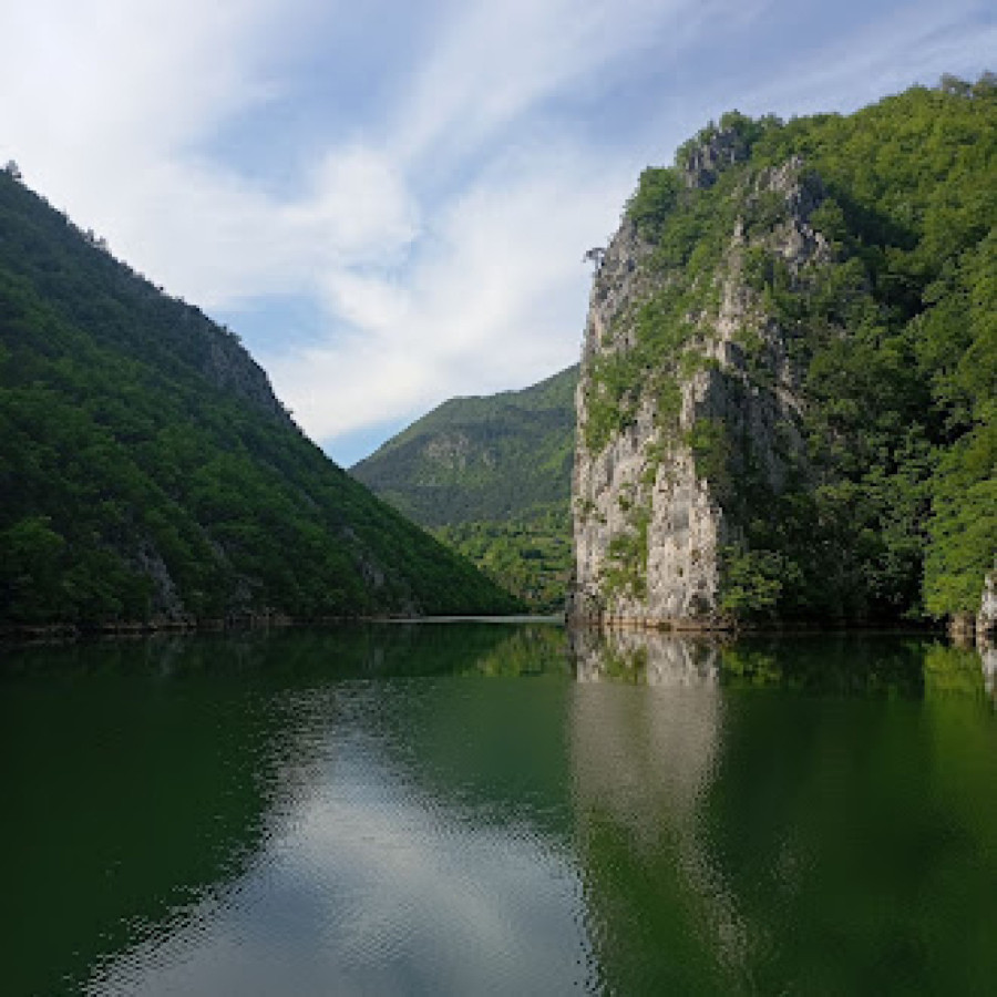 This tree grows only along the Drina River and is the pride of Serbia: Tara National Park marks three jubilees