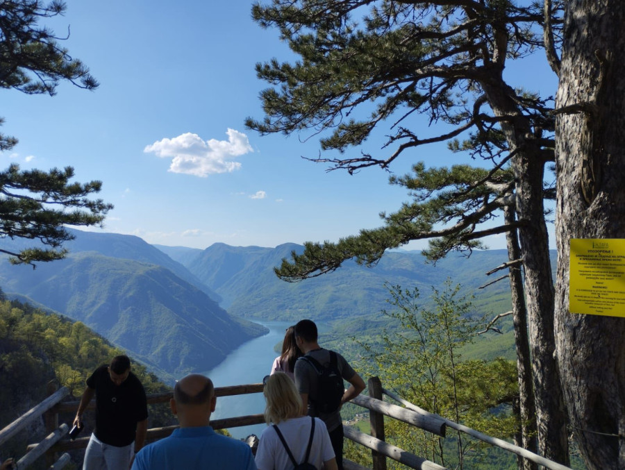 One su divlje lepotice koje žive na strmim liticama: Vraća se život na srpske planine FOTO