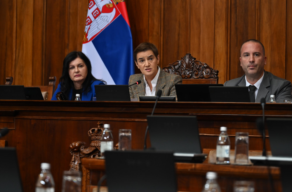 Brnabić odbrusila Mariniki: U sledećoj rezoluciji osudite i pčele ubice; Rasprava zbog zvučnog topa i EP VIDEO