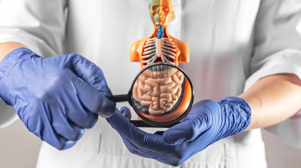 Inovativna terapija: U Srbiji oko 12.000 ljudi boluje od inflamatornih bolesti creva