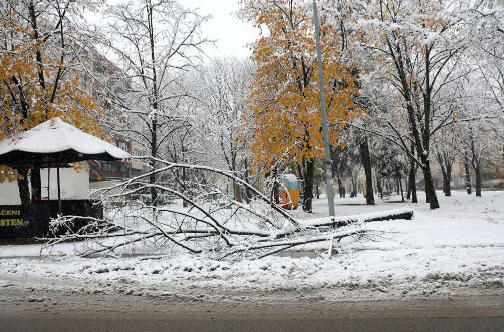 Horor u Sarajevu: Stablo palo i ubilo ženu
