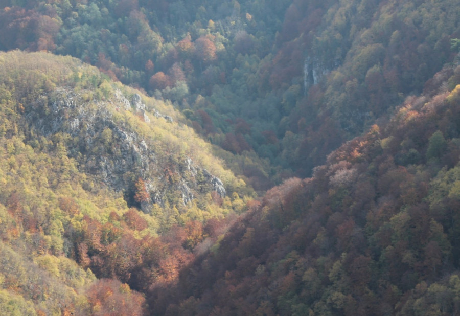 Čak 17 rezervata prirode nalazi se na Tari