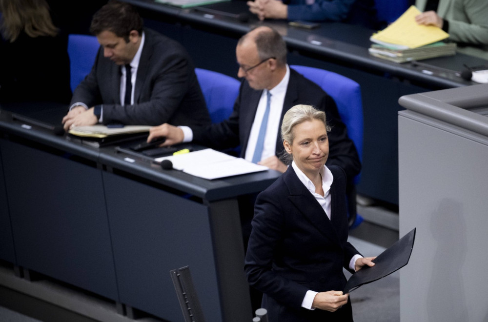 AfD gubi podršku