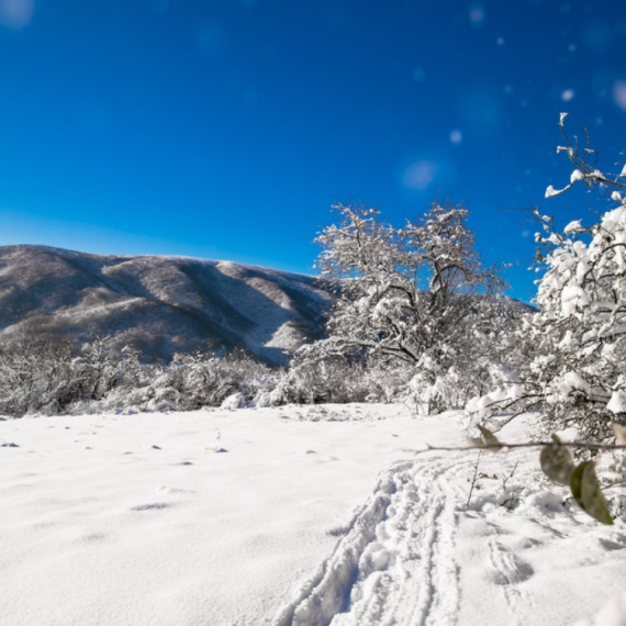 Latest forecast released: Snow in Serbia starting from this date