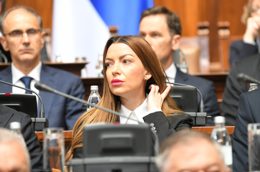 Mesarović: "Svakom normalnom je jasno šta se dešava u Crnoj Gori"; "Koriste priliku da ponize srpski narod"