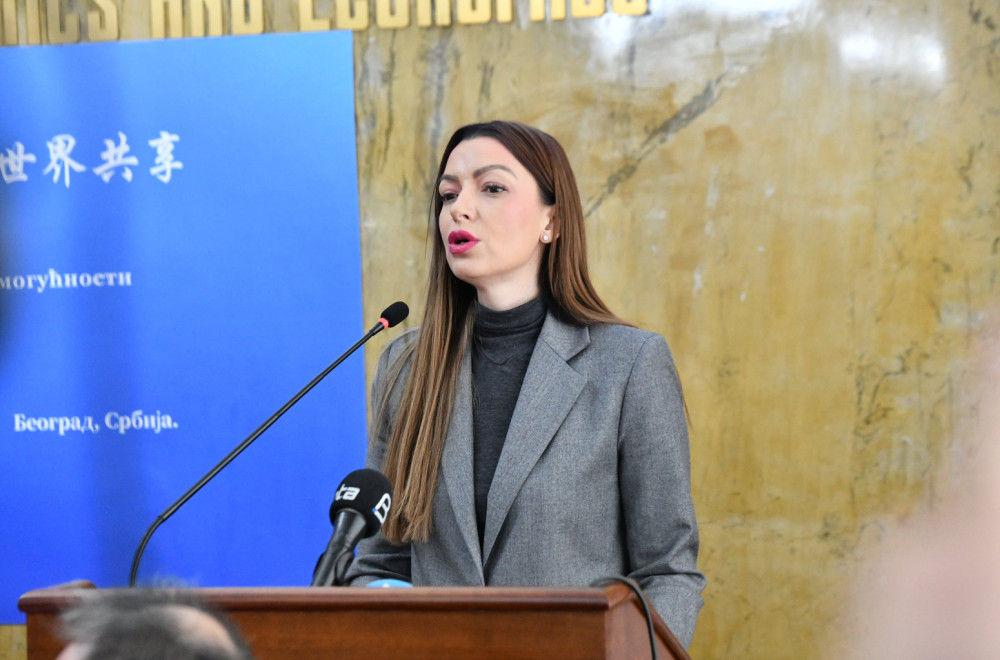 Mesarović: Krivična prijava Marinike Tepić protiv Vučevića bedni spin