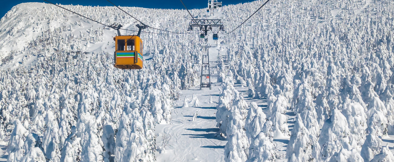 Ovo je jedno od najneobičnijih skijališta na svetu: "Snežna čudovišta" i vrele kupke fasciniraju FOTO