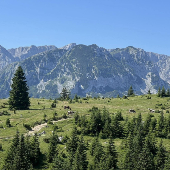 Milorad poklanja 15.000 kvadratnih metara u srcu Durmitora: Ima samo jedan uslov FOTO