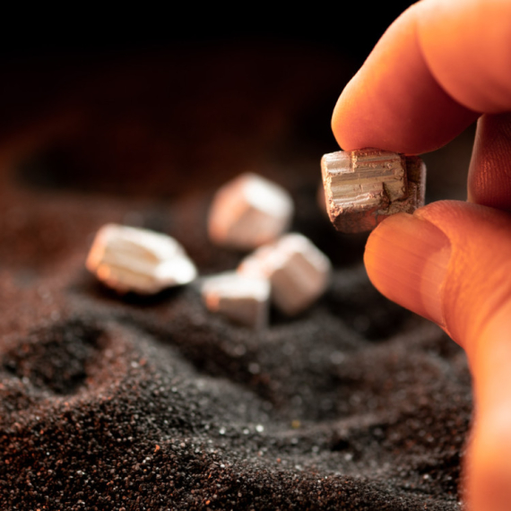 Gold rush of the 21st century: Governments fall because of them – What are rare elements?