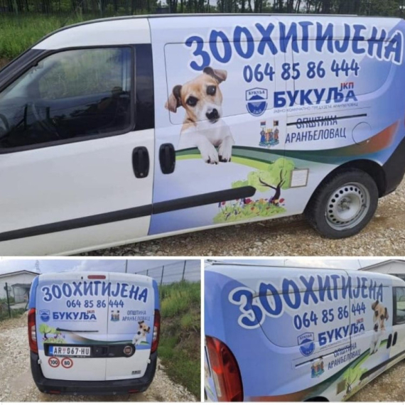 Sistem koji daje rezultate: Aranđelovac smanjio broj napuštenih pasa na ulicama