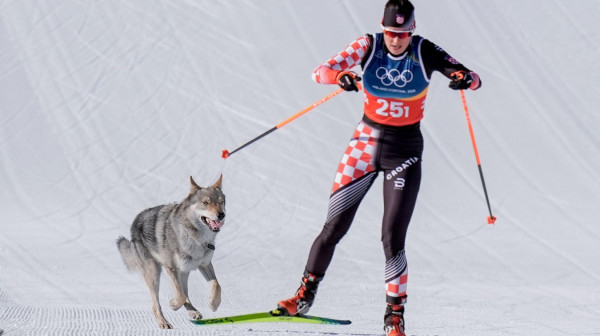 Svi pomislili da je vuk: Kako je pas završio na stazi tokom trke na ZOI? VIDEO