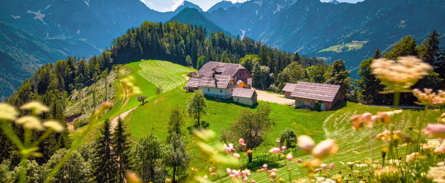 Solčavsko čudo: Panoramska ruta koja spaja alpsku prirodu, ledenjačke doline i tradiciju VIDEO
