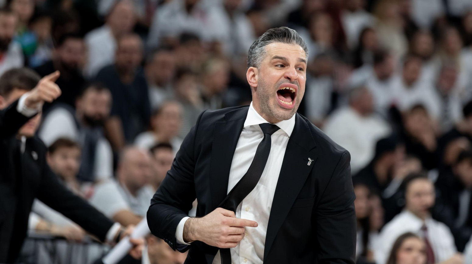 Alimpijević "poludeo" zbog sudija: "Ne moram da budem trener u Turskoj" VIDEO