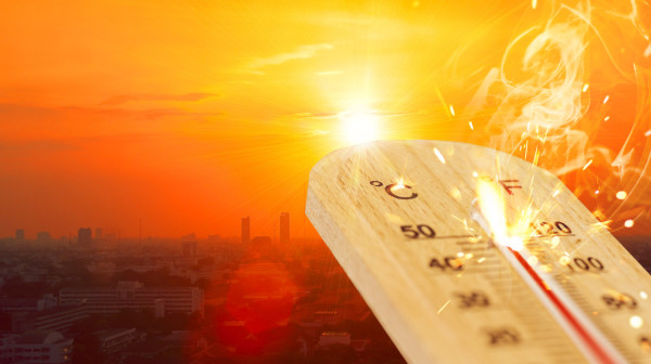Europe facing a temperature shock: After Arctic cold, a heatwave from Africa is coming
